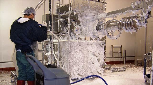 NERTA-FOOD-PROCESSING-CLEANING